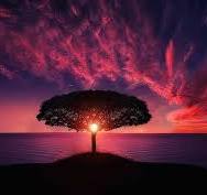 Austin Trauma Centers Near You